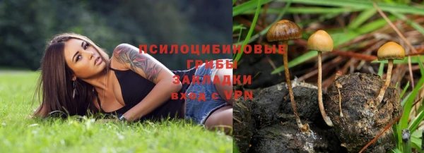 прущая мука Абаза